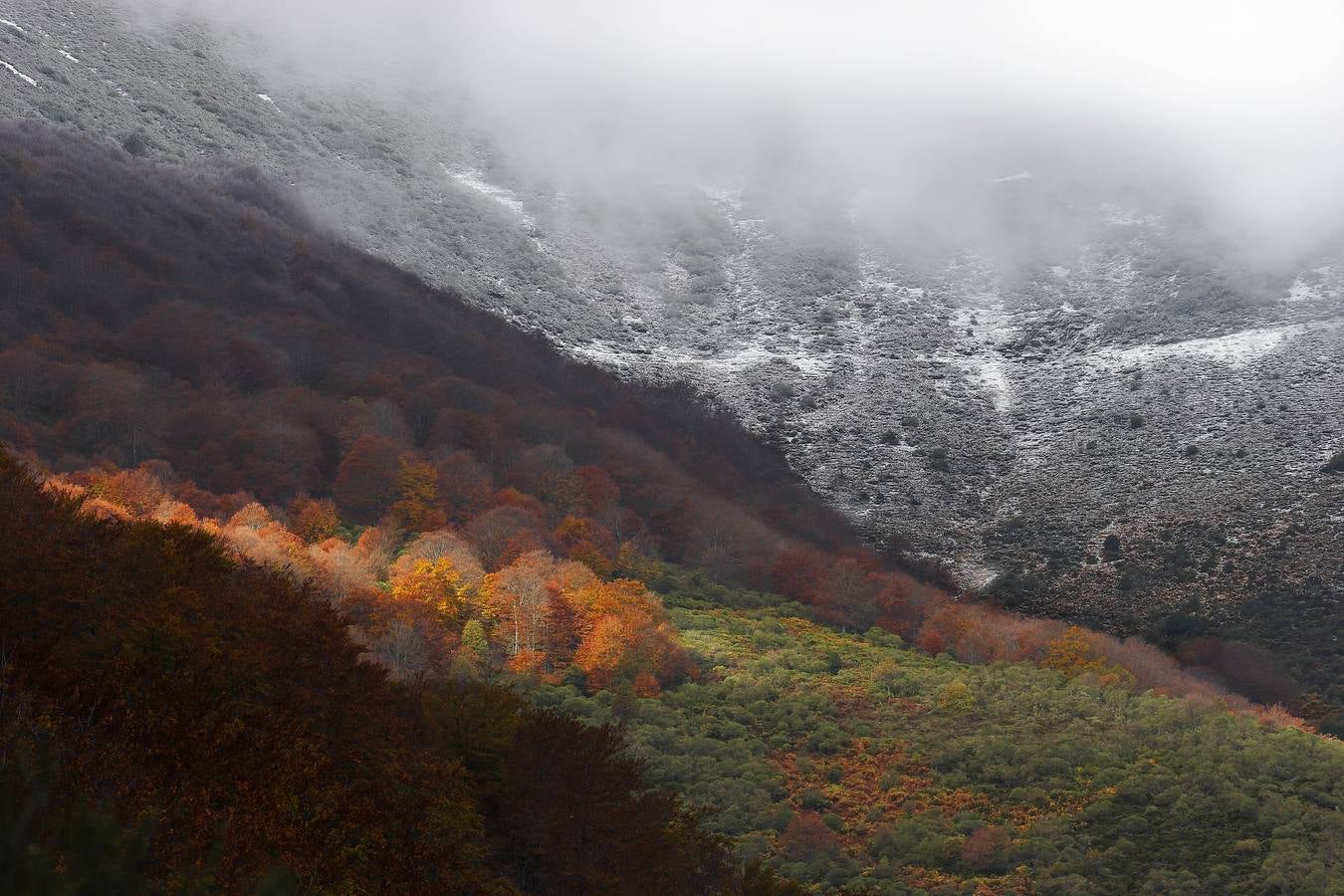 Contrastes | Eduardo Ruiz Baltanás