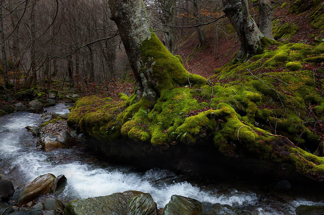 'Tobía 1' |Roberto Zaldívar Ezquerro