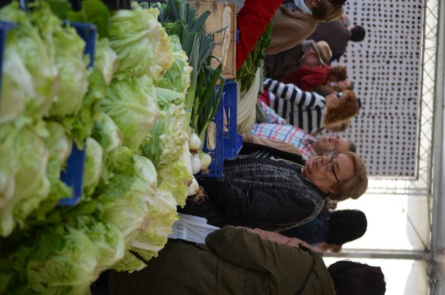 Fotos: Mercado de la verdura de Calahorra