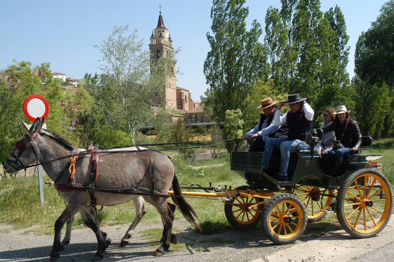 La asociación de sevillanas 'Aires del Sur' celebra su segunda romería