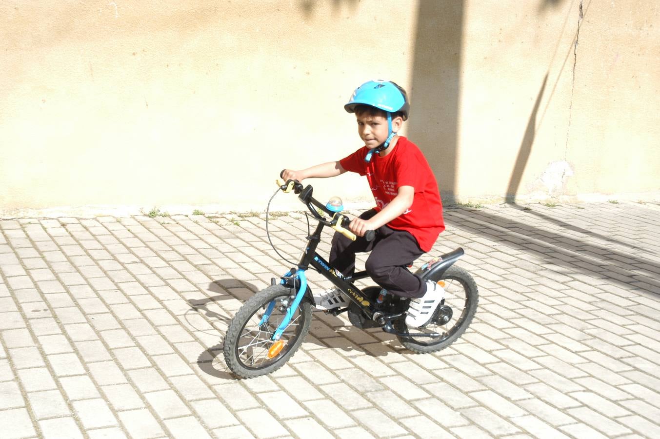 386 cicilistas participaron en el décimo quinto Día de la Bicicleta de Cervera, organizado por la AMPA de Primaria.
