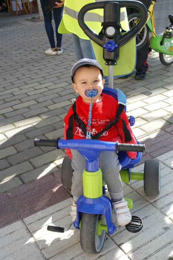 386 cicilistas participaron en el décimo quinto Día de la Bicicleta de Cervera, organizado por la AMPA de Primaria.