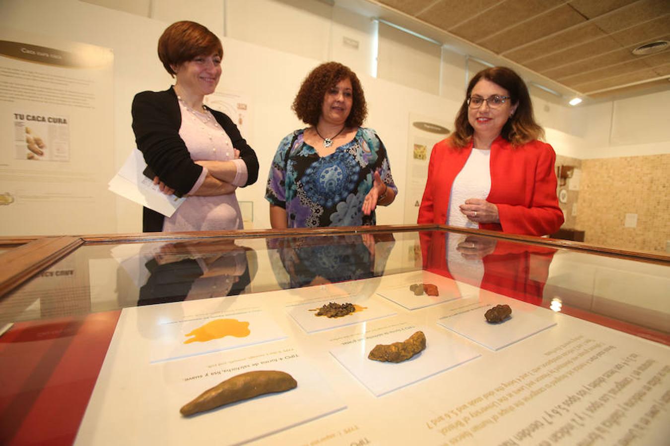 La Casa de las Ciencias propone la exposición 'Excreta', una propuesta que ahonda en el detritus urbano y en la capaidad de reciclaje de las deposiciones del hombre en las ciudades como las animales en el medio natural.