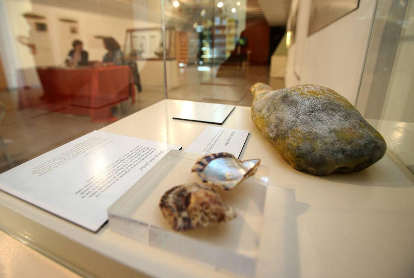 La Casa de las Ciencias propone la exposición 'Excreta', una propuesta que ahonda en el detritus urbano y en la capaidad de reciclaje de las deposiciones del hombre en las ciudades como las animales en el medio natural.