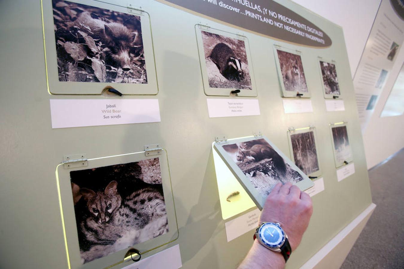 La Casa de las Ciencias propone la exposición 'Excreta', una propuesta que ahonda en el detritus urbano y en la capaidad de reciclaje de las deposiciones del hombre en las ciudades como las animales en el medio natural.