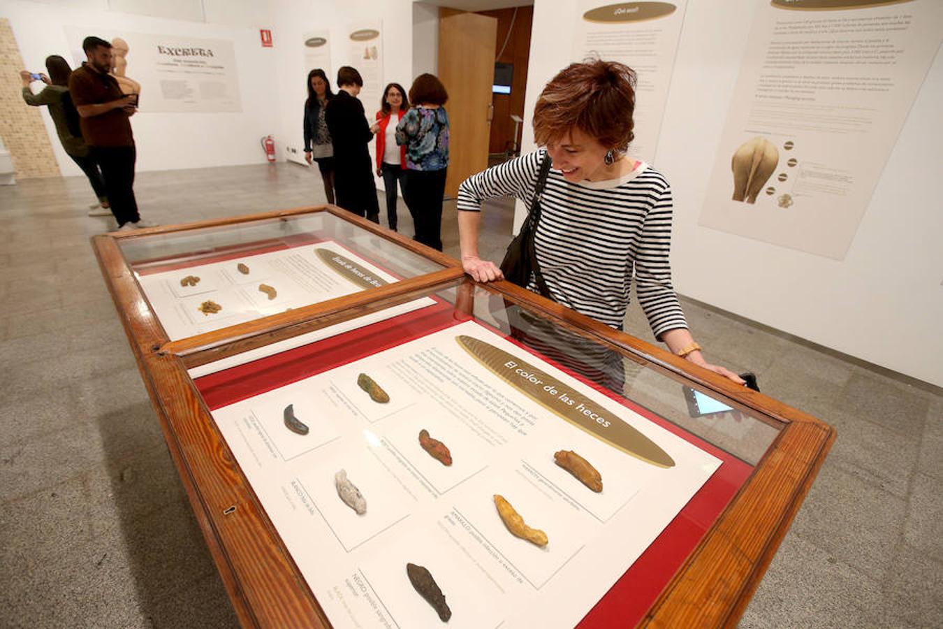 La Casa de las Ciencias propone la exposición 'Excreta', una propuesta que ahonda en el detritus urbano y en la capaidad de reciclaje de las deposiciones del hombre en las ciudades como las animales en el medio natural.