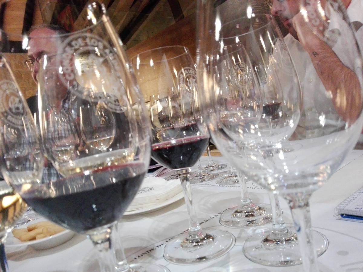 Fotos: Bodegas Ollauri recorre los vinos de Rioja y del mundo