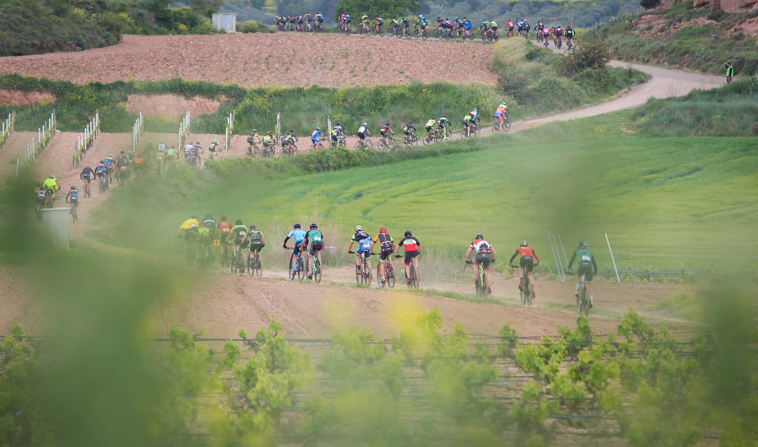 Los ciclistas, a su paso por Entrena.