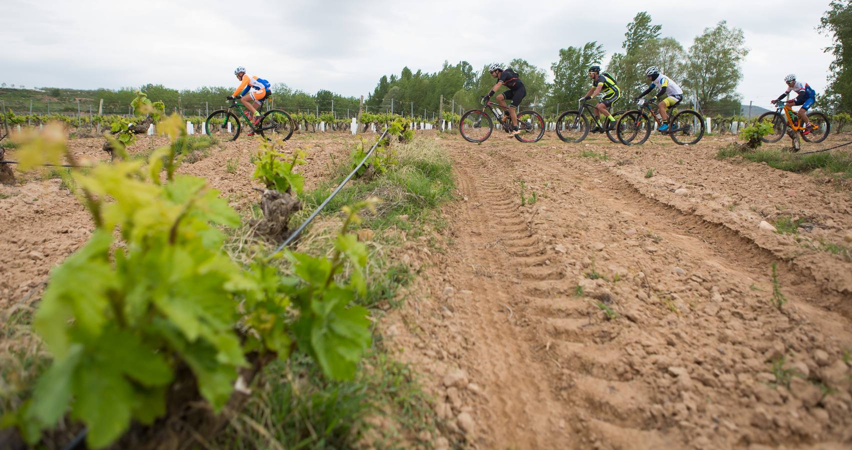 Los ciclistas, a su paso por Entrena.