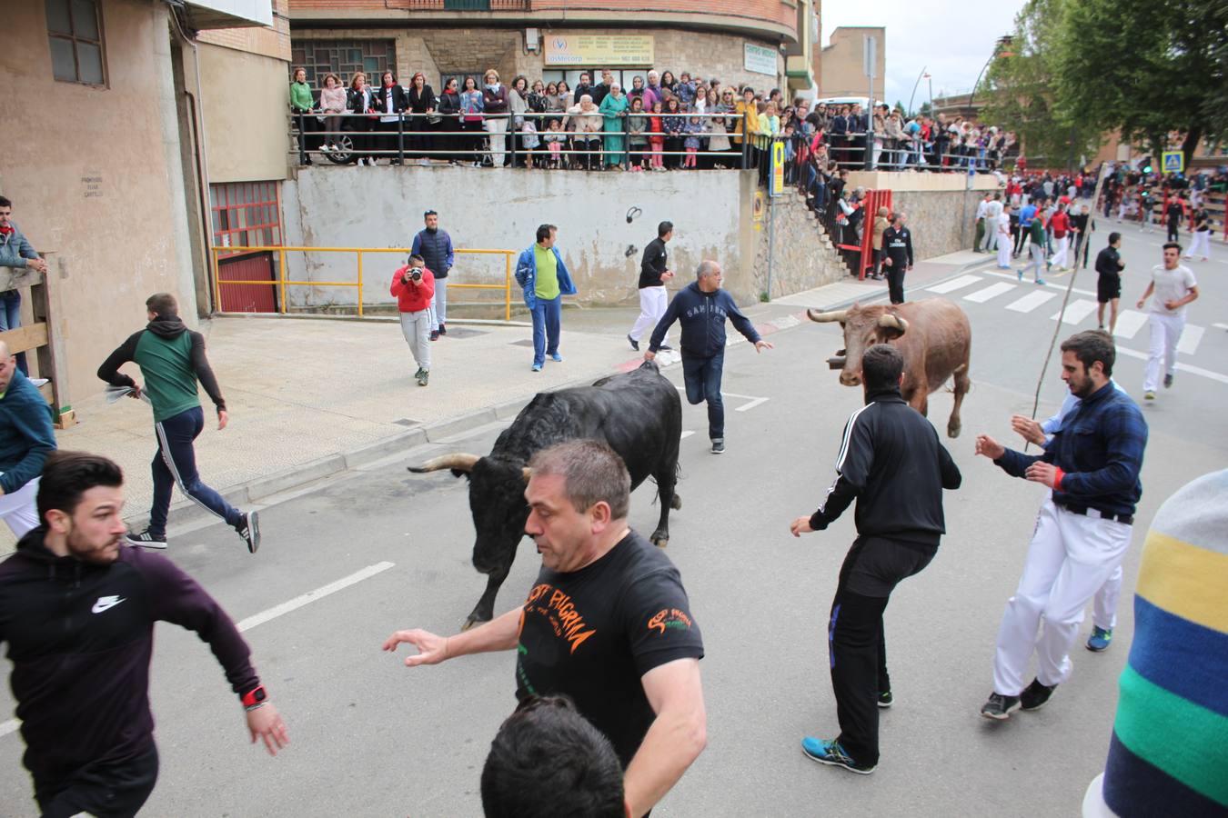 Segundo día de las Fiestas de la Primavera en Alfaro.