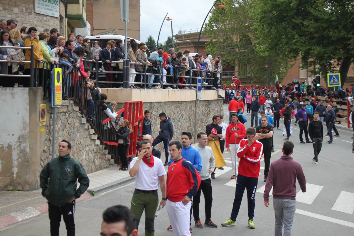 Segundo día de las Fiestas de la Primavera en Alfaro.