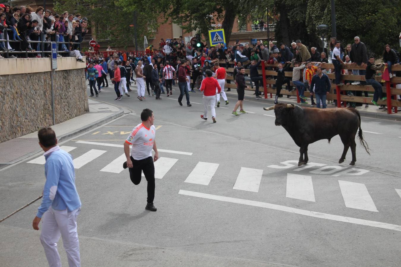 Segundo día de las Fiestas de la Primavera en Alfaro.