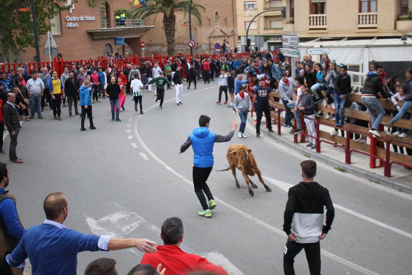 Segundo día de las Fiestas de la Primavera en Alfaro.