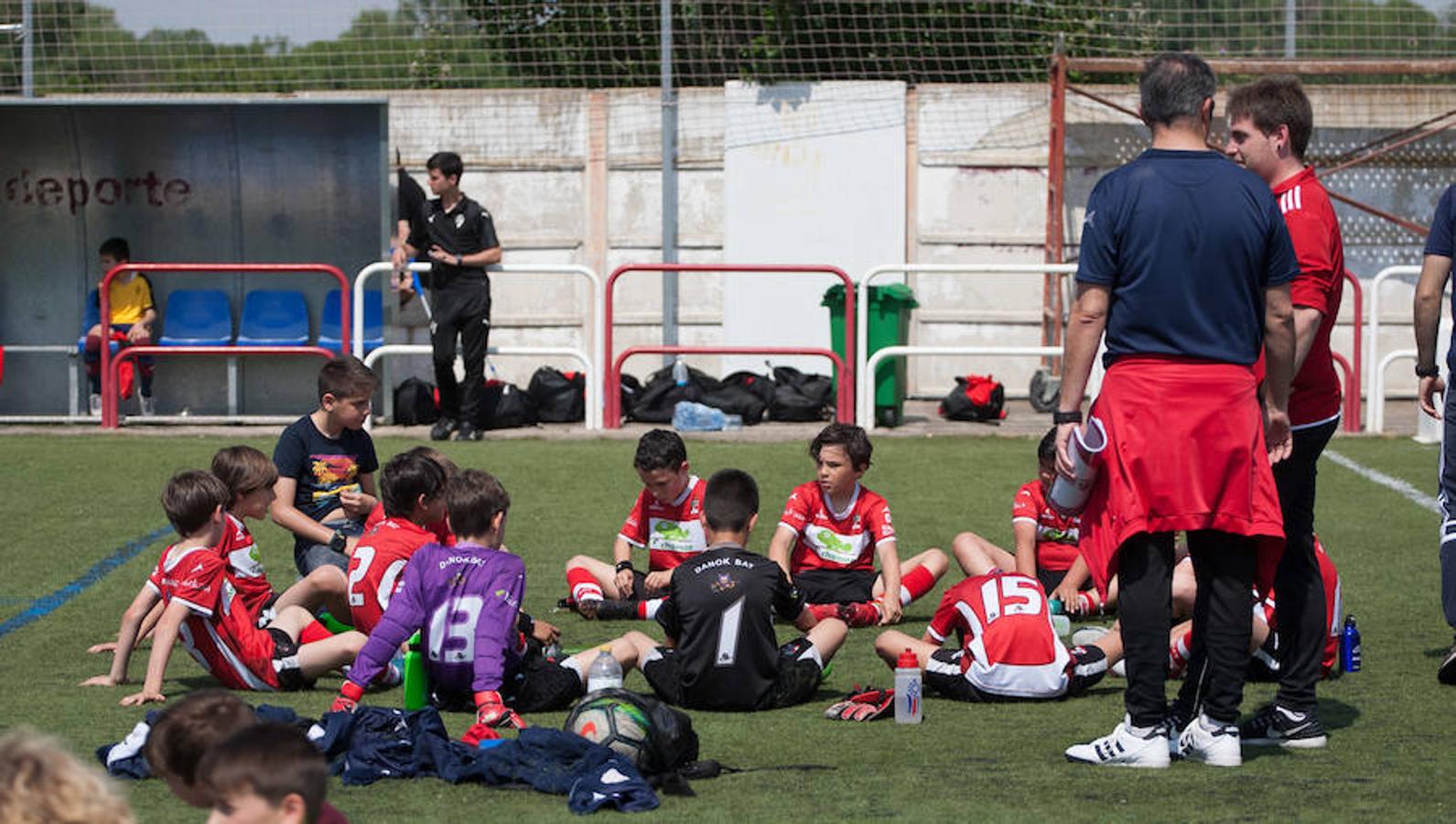 Alrededor de 500 niños de 32 equipos de fútbol 8 disputan el Torneo de fútbol benjamín (nacidos en el 2007 y 2008) que ha organizado el Varea con motivo de su 50 aniversario.