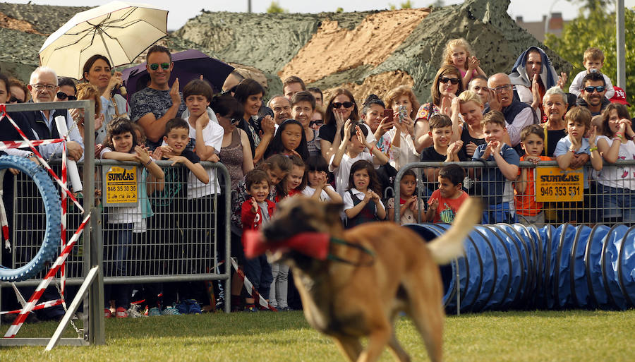Como anticipo al desfile de las Fuerzas Armadas del sábado, Logroño albergó en varios puntos de la ciudad distintas exhibiciones de destreza de los soldados que participan en la capital riojana en este homenaje a las Fuerzas Armadas.