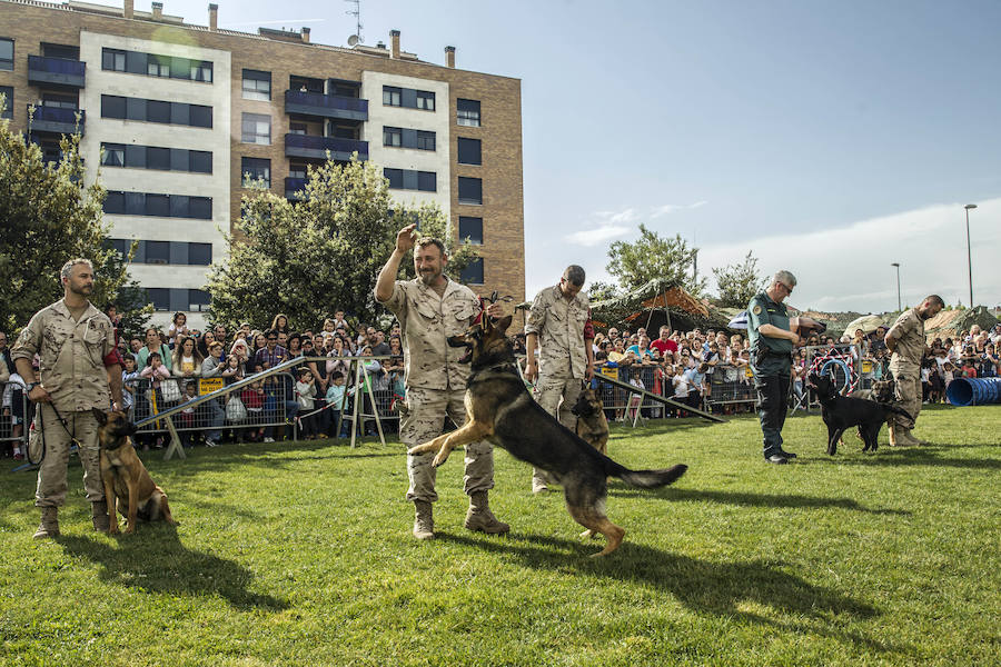 Como anticipo al desfile de las Fuerzas Armadas del sábado, Logroño albergó en varios puntos de la ciudad distintas exhibiciones de destreza de los soldados que participan en la capital riojana en este homenaje a las Fuerzas Armadas.