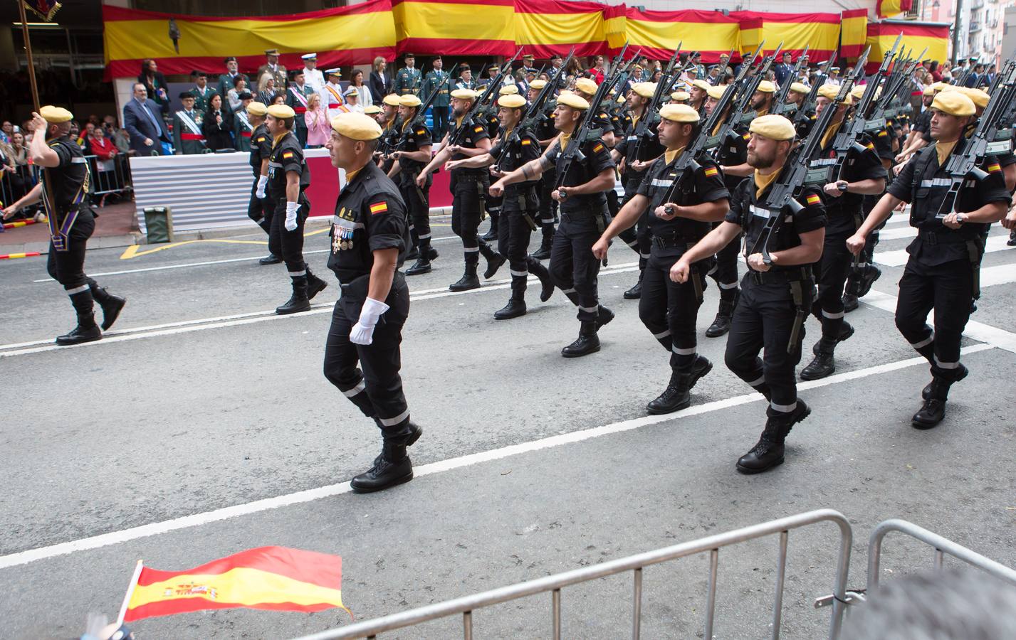 Emocionante Desfile del Día de las Fuerzas Armadas, que concgregó en Logroño a miles de personas.