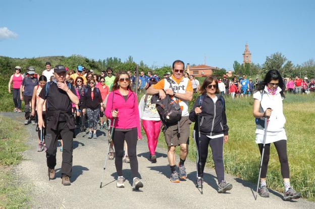 Al poco de comenzar la marcha, ayer en Pipaona de Ocón. :: s.s.j.