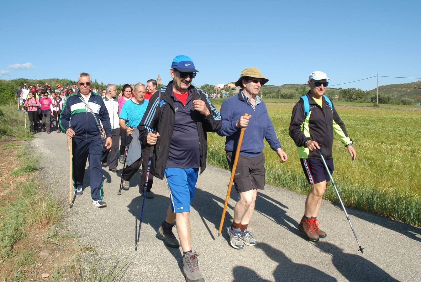 Fotos: 17ª marcha por los pueblos de Ocon