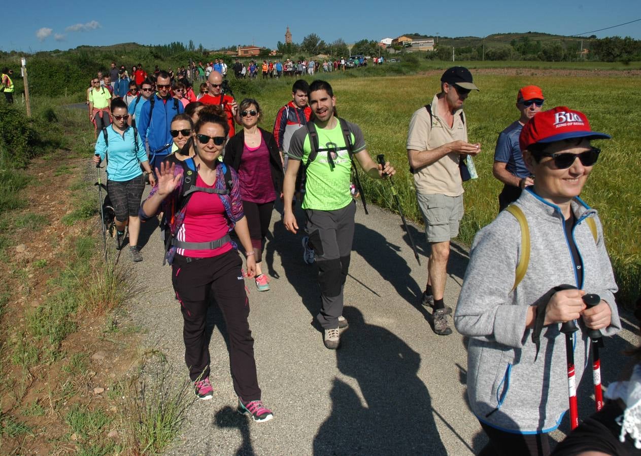 Fotos: 17ª marcha por los pueblos de Ocon