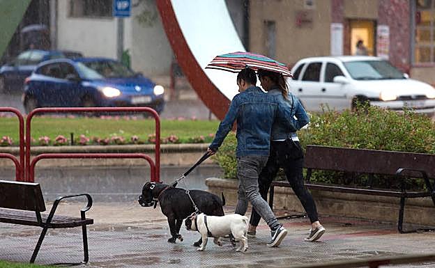 Una pareja pasea con paraguas por Logroño.