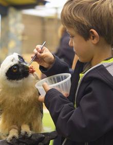 Imagen secundaria 2 - Campamento de Verano Tierra Rapaz: Ciencia y naturaleza unidas para los peques