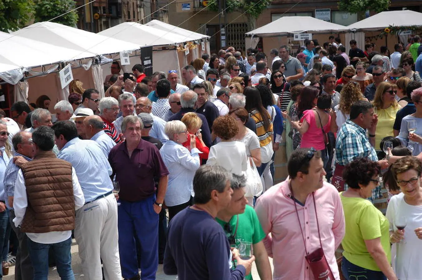 Ambiente de la Feria Entreviñas celebrada en Aldeanueva de Ebro el sábado. Éxito de público y también para las bodegas que propusieron sus nuevos productos en las casetas montadas para el evento. 