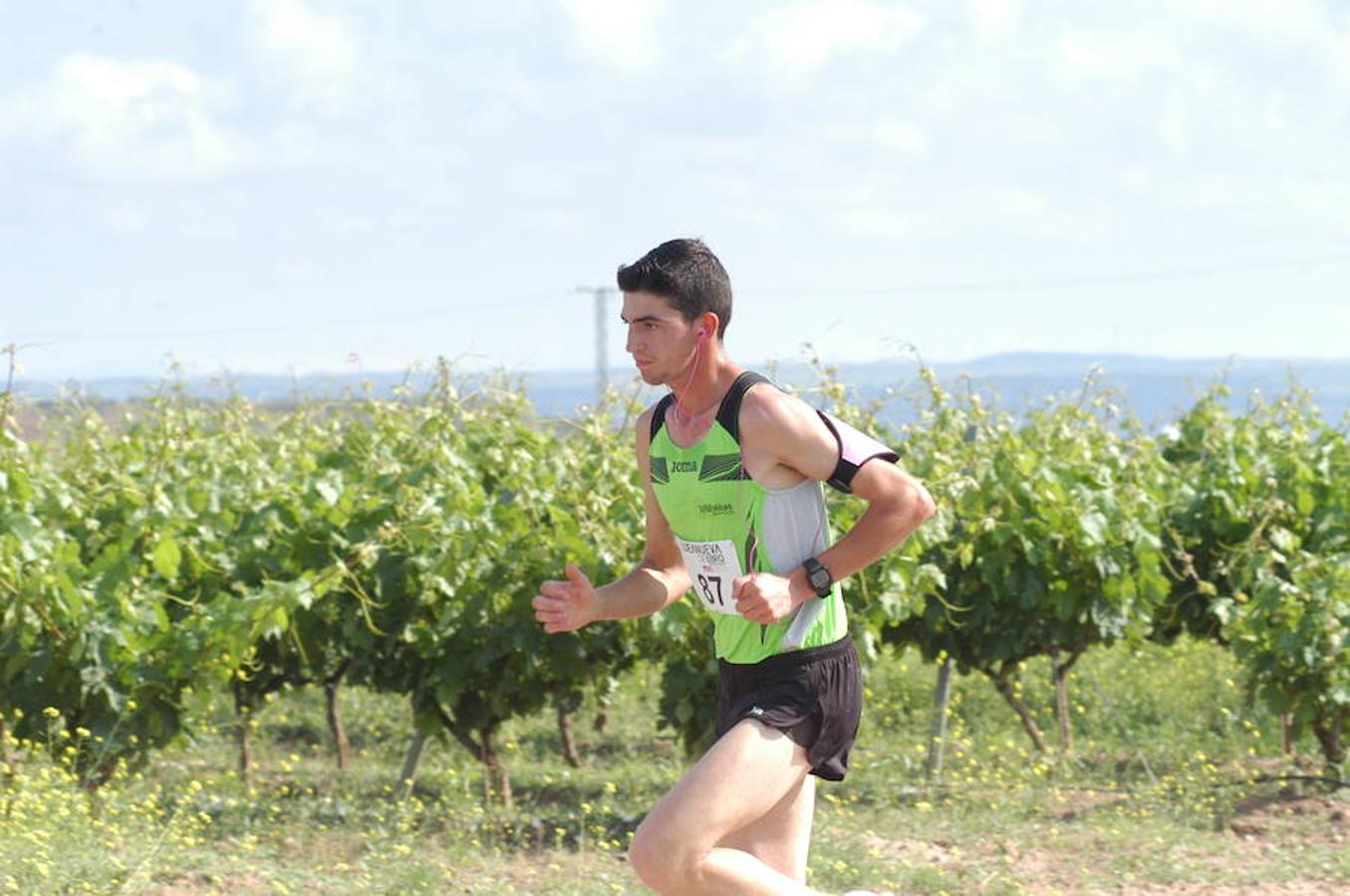 Marcha solidaria y carrera Runners & Wine del sábado por la mañana en Aldeanueva de Ebro.