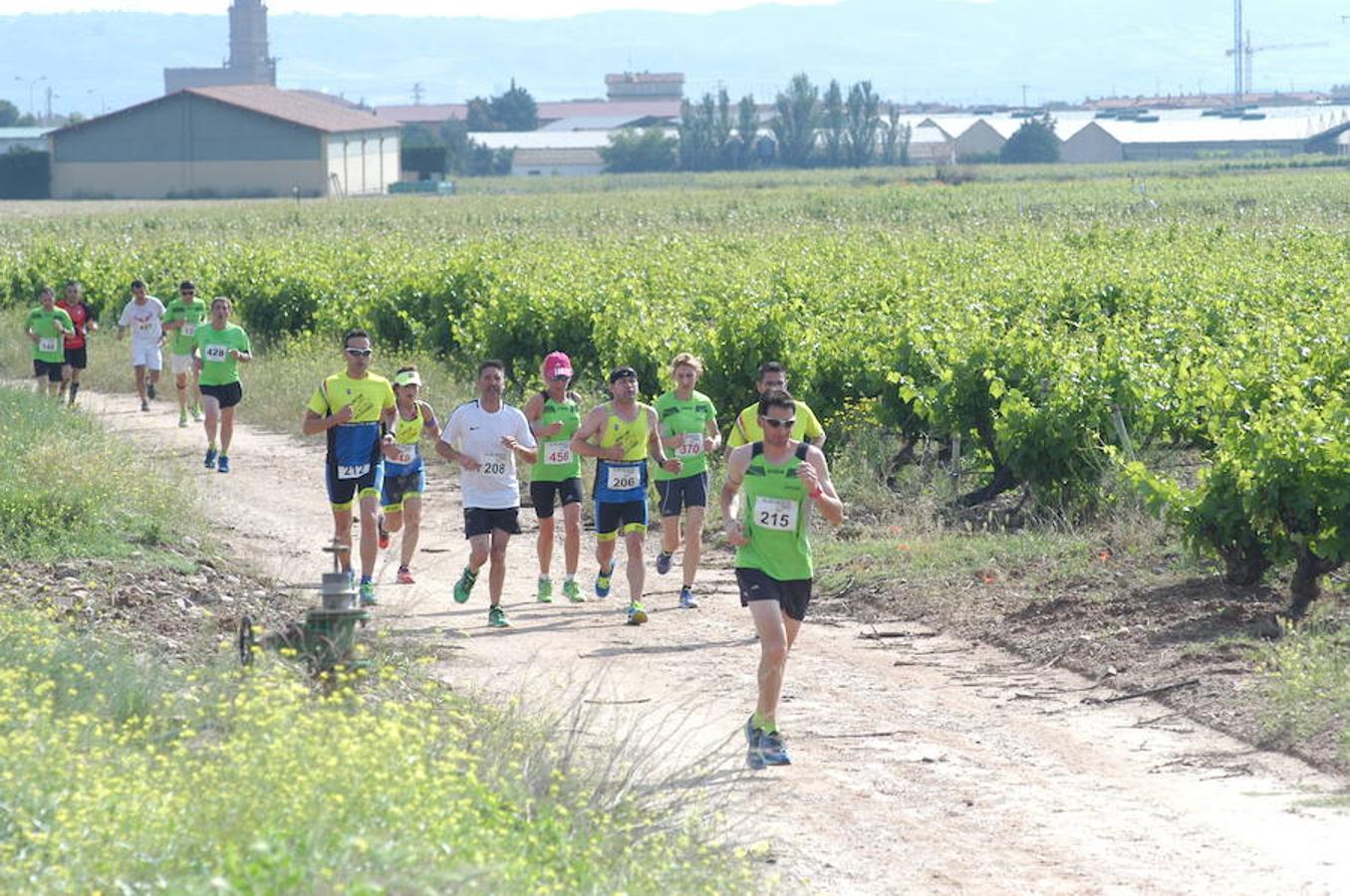 Marcha solidaria y carrera Runners & Wine del sábado por la mañana en Aldeanueva de Ebro.