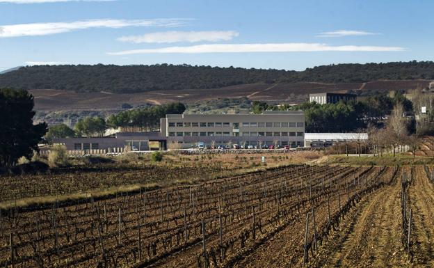 'Hola Verano', un 'parque temático' sobre vino y música en La Grajera el 23