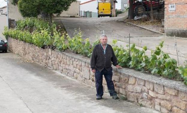 Roberto Andrés, junto a la parra de Baños de Rioja que él y su hermano Vidal plantaron hace 28 años. 