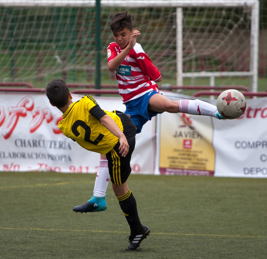 Esta mañana se han celebrado las finales del XIV Torneo Nacional Alevín F7 organizado por el Valvanera CD y en el que han participado 80 equipos en las instalaciones de Pradoviejo.