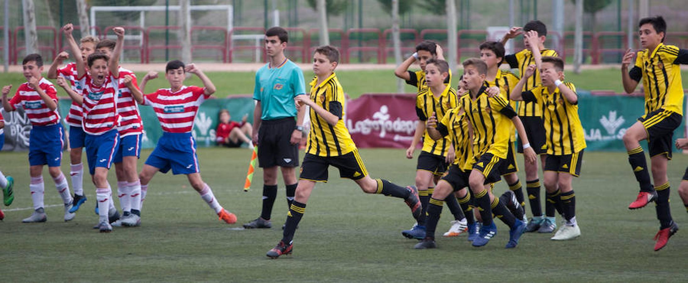 Esta mañana se han celebrado las finales del XIV Torneo Nacional Alevín F7 organizado por el Valvanera CD y en el que han participado 80 equipos en las instalaciones de Pradoviejo.