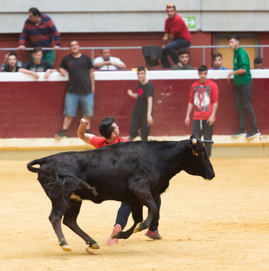 Los mejores recortadores del momento se han dado cita en la plaza de toros de La Ribera de Logroño para presenciar el fetejo taurino del prograna de San bernabé. Riesgo y vaquillas animaron a seguir de cerca las evoluciones de los valientes que decidieron pisar la arena.