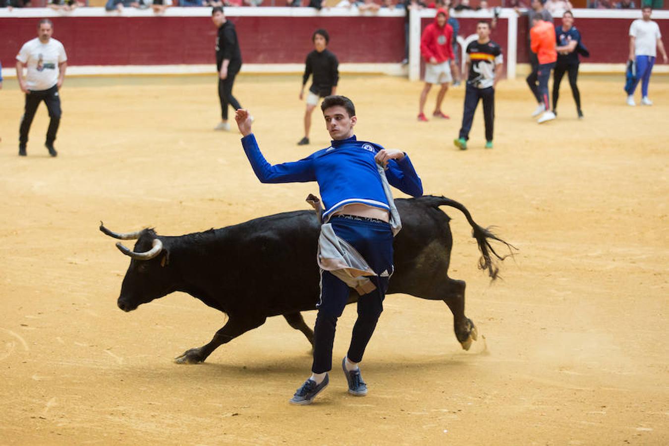 Los mejores recortadores del momento se han dado cita en la plaza de toros de La Ribera de Logroño para presenciar el fetejo taurino del prograna de San bernabé. Riesgo y vaquillas animaron a seguir de cerca las evoluciones de los valientes que decidieron pisar la arena.