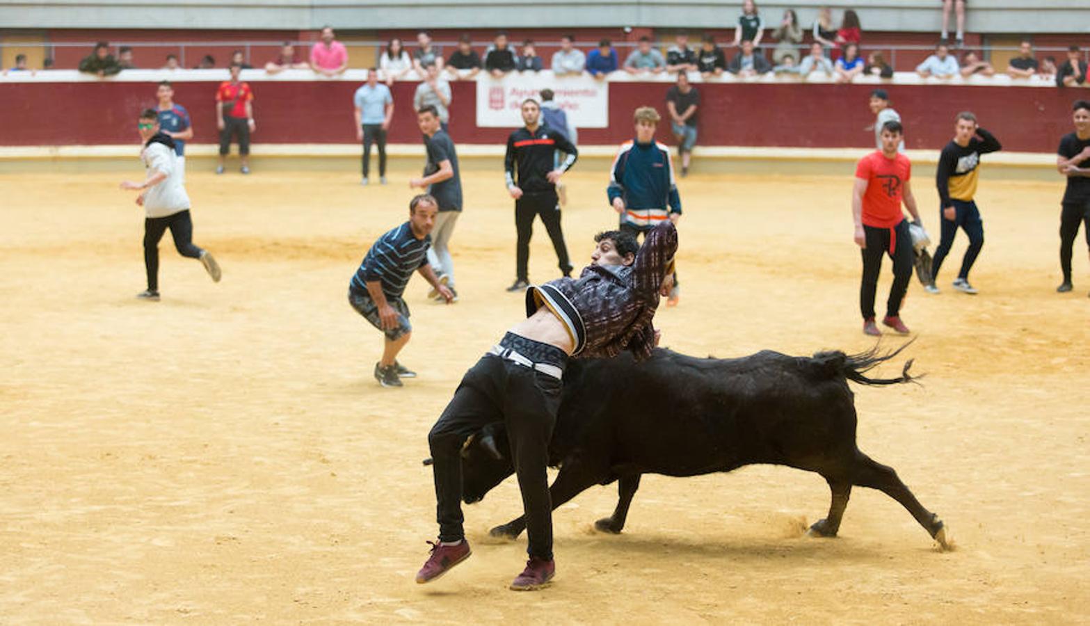 Los mejores recortadores del momento se han dado cita en la plaza de toros de La Ribera de Logroño para presenciar el fetejo taurino del prograna de San bernabé. Riesgo y vaquillas animaron a seguir de cerca las evoluciones de los valientes que decidieron pisar la arena.