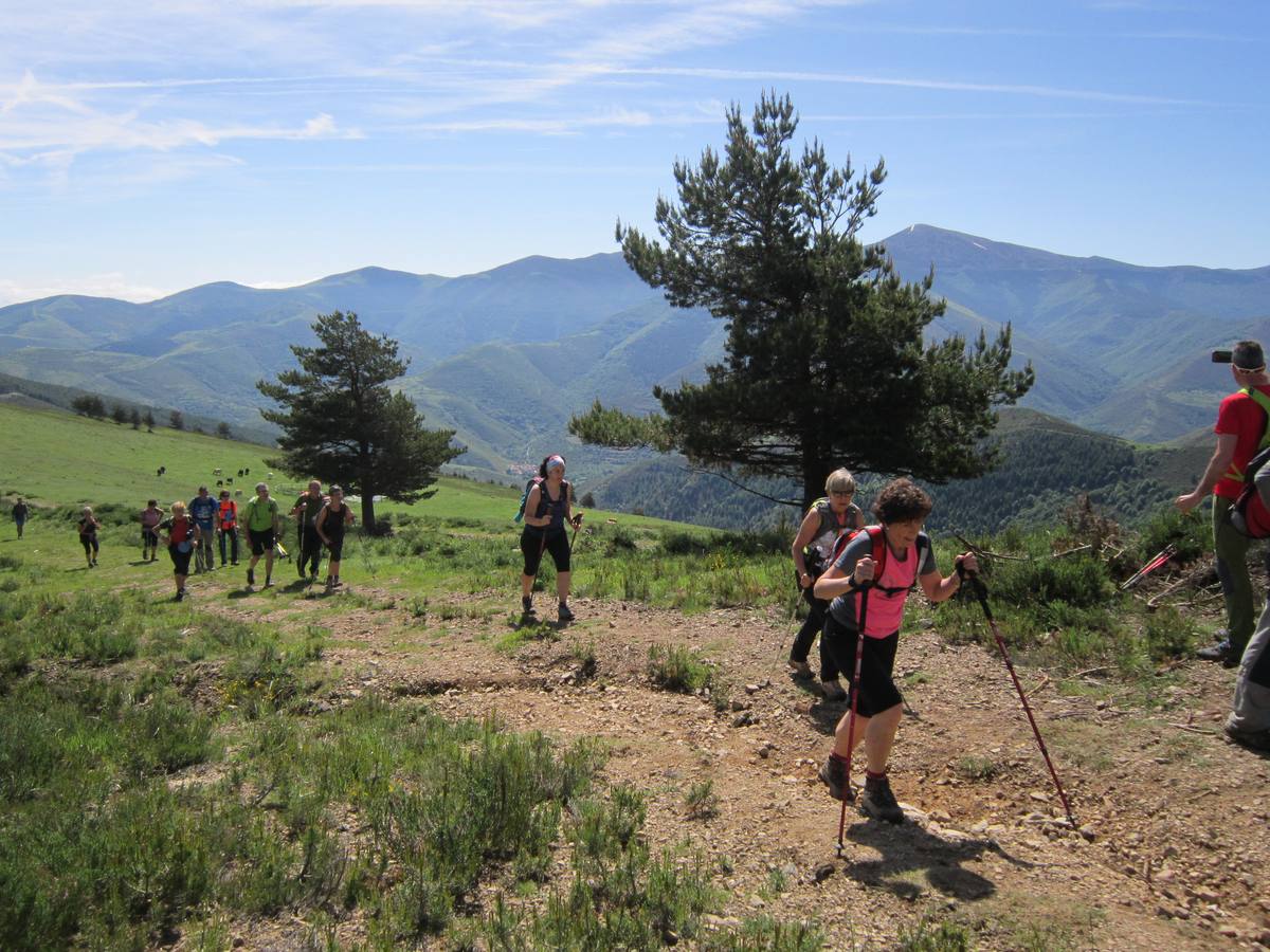 Unas 1.300 personas participaron en la suma de las dos marchas senderistas que recorrieron los montes de la Demanda. La 'Valle de Ezcaray. Memorial Javi Valgañón y Travesía infantil en una actividad organizada por los 'Amigos de Ezcaray'