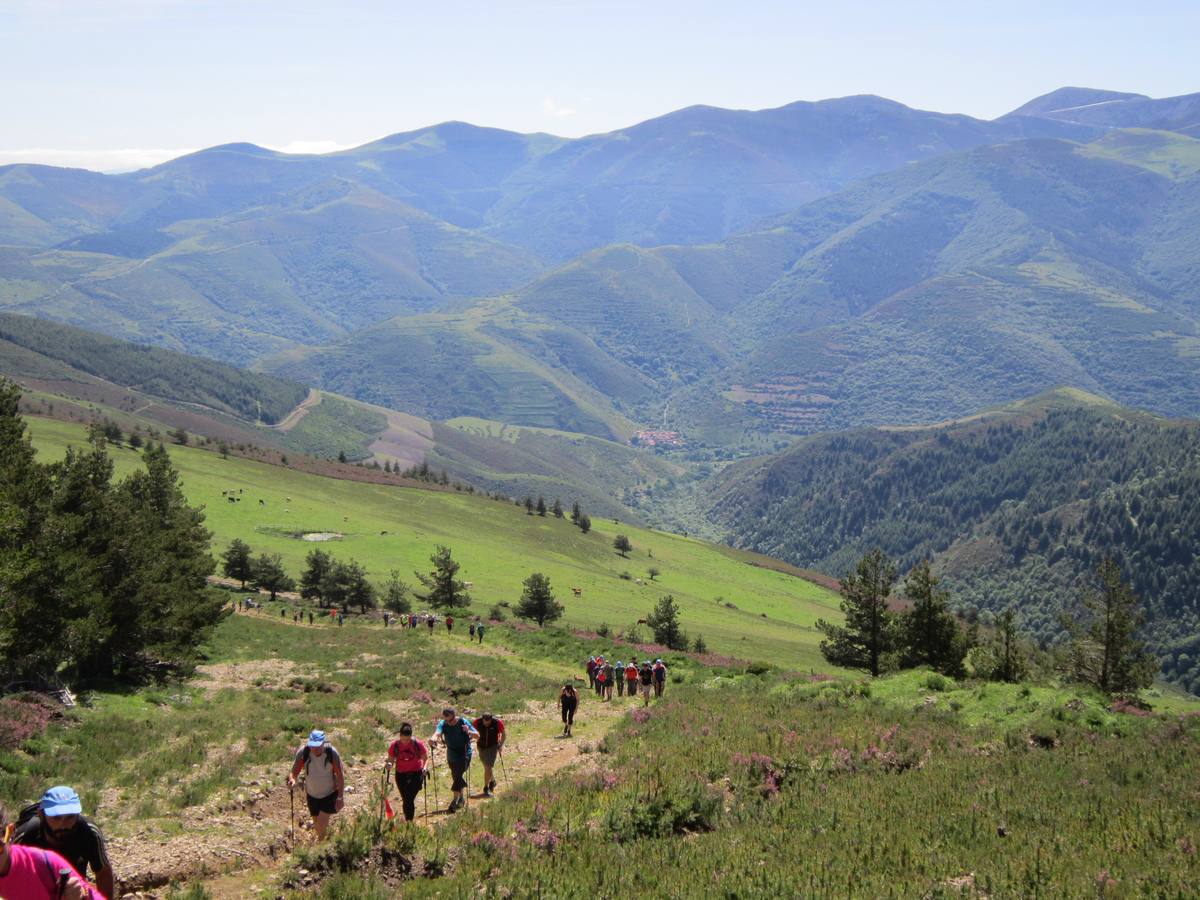 Unas 1.300 personas participaron en la suma de las dos marchas senderistas que recorrieron los montes de la Demanda. La 'Valle de Ezcaray. Memorial Javi Valgañón y Travesía infantil en una actividad organizada por los 'Amigos de Ezcaray'