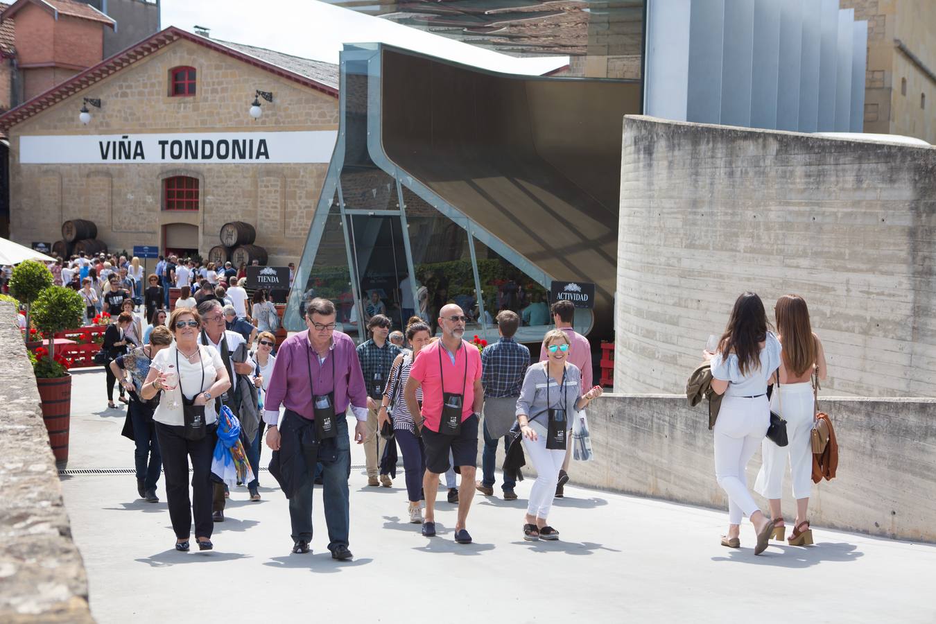 Fotos: Cata de la Estación de Haro (II)