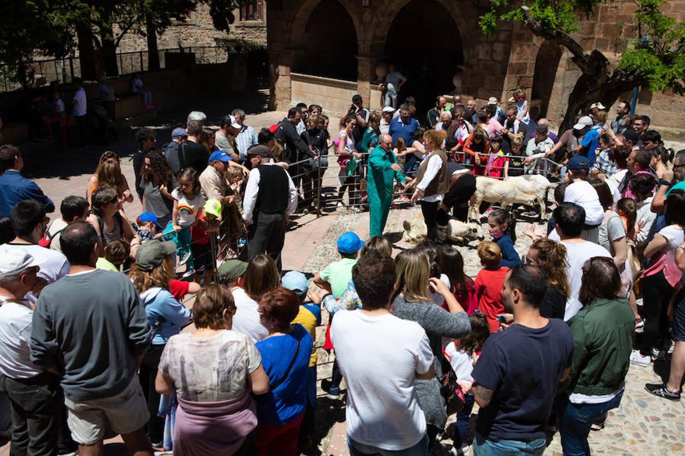 La localidad serrana de Brieva ha revivido la trashumancia. La búsqueda de pastos frescos para los rebaños de ovejas de otras latitudes a la sierra riojana y que mantiene vivas las tradiciones, los caminos y cañadas para alimentar a las cabañas ovina.