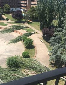 Imagen secundaria 2 - El PSOE denuncia una «tala indiscriminada» de los árboles de la Plaza México