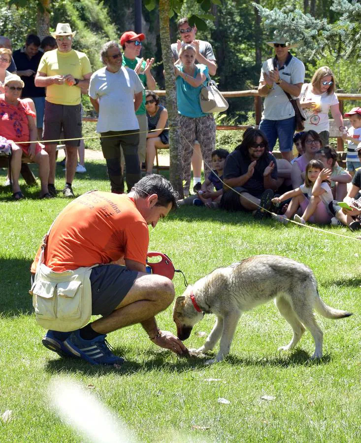 La localidad celebra la tradicional jornada, con actividades y degustaciones