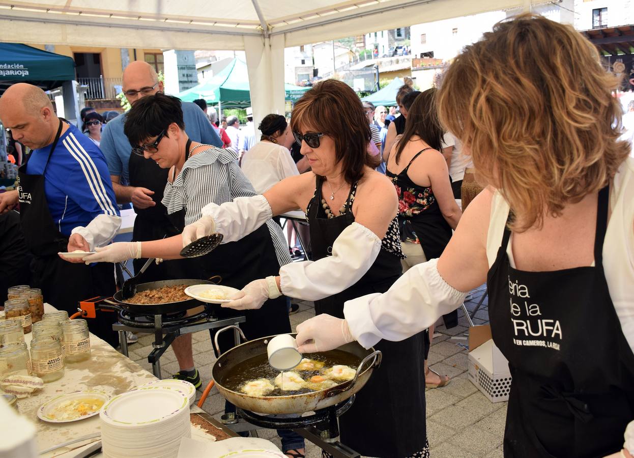 La localidad celebra la tradicional jornada, con actividades y degustaciones