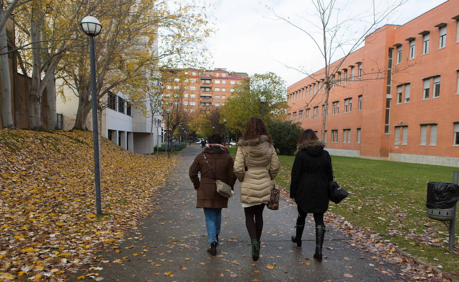 Estudiantes pasean por el campus universitario. 