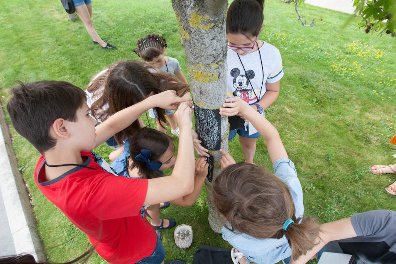 El Museo Würth aprovecha las vaciones de verano para ofertar cursos didácticos y gratuitos para los niños de Infantil, Primaria, Secundaria y Bachillerato. 