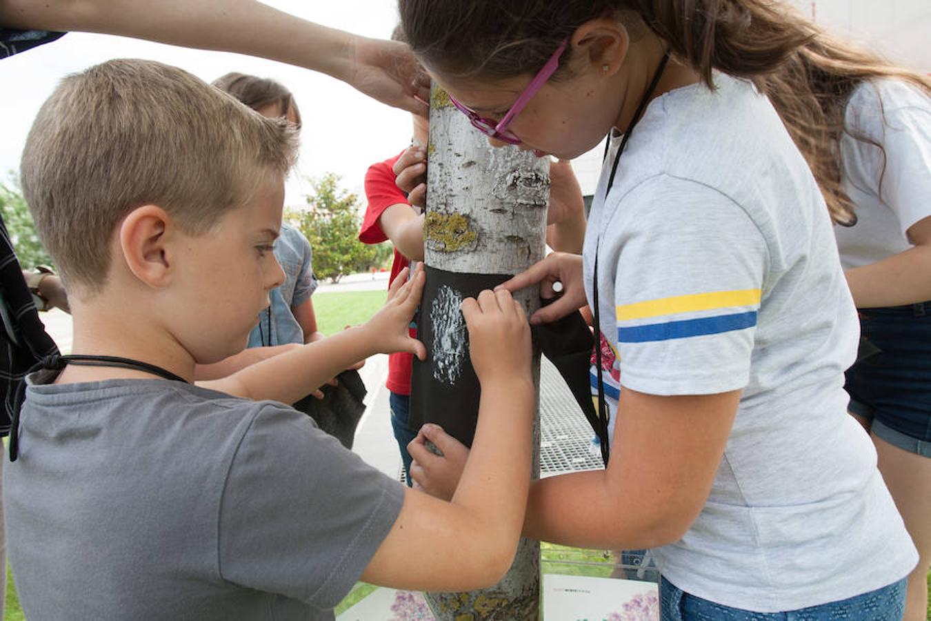 El Museo Würth aprovecha las vaciones de verano para ofertar cursos didácticos y gratuitos para los niños de Infantil, Primaria, Secundaria y Bachillerato. 