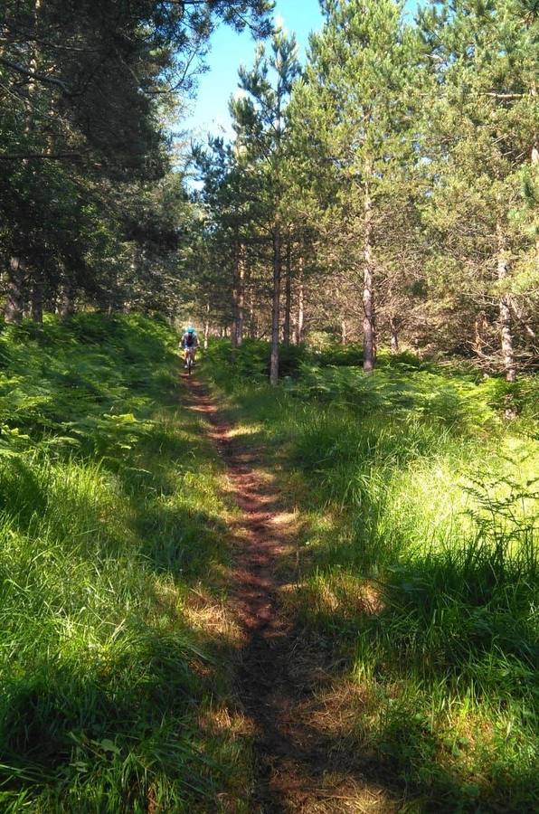 Fotos: X Travesía de BTT Valdeminochi de Valgañón