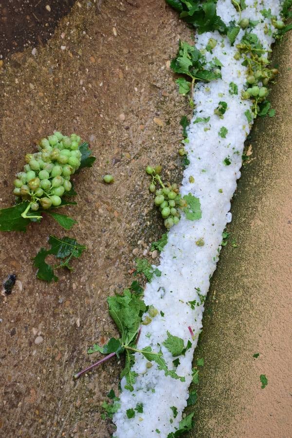 La tormenta de granizo de Murillo causó graves daños.