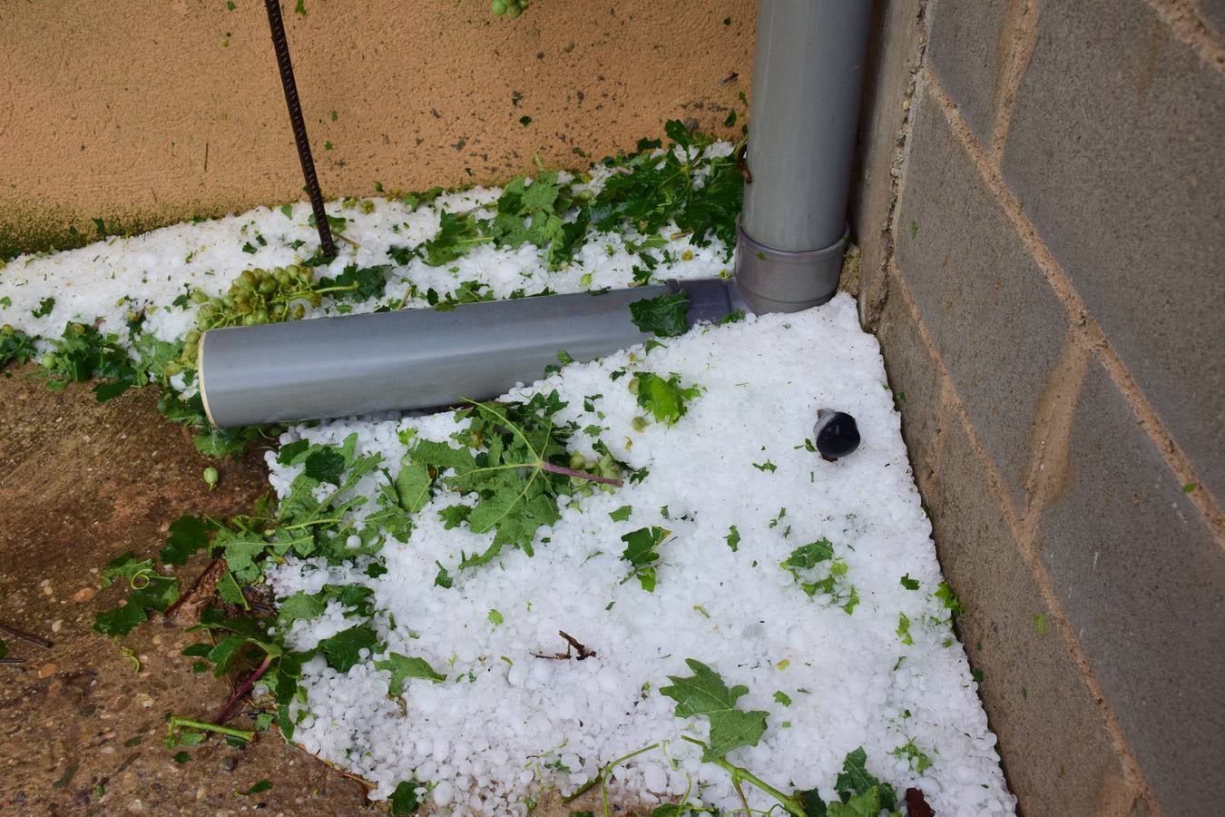 La tormenta de granizo de Murillo causó graves daños.