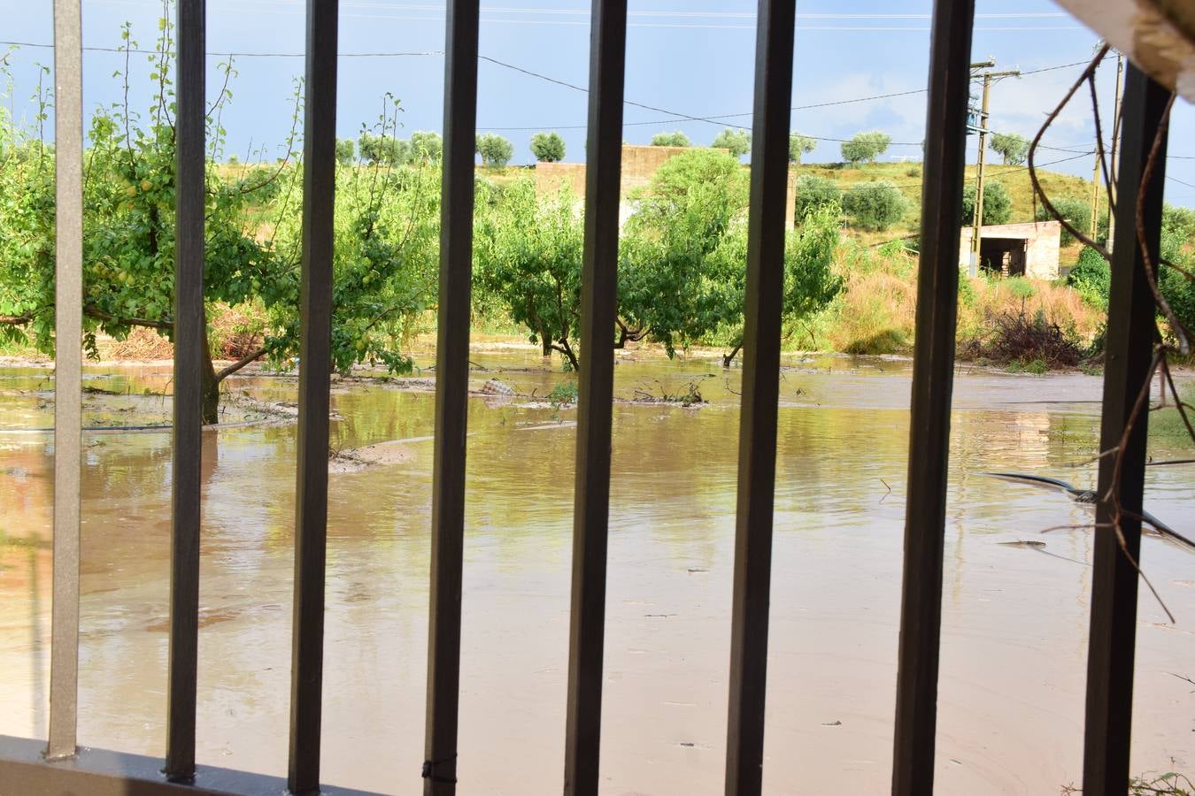 La tormenta de granizo de Murillo causó graves daños.